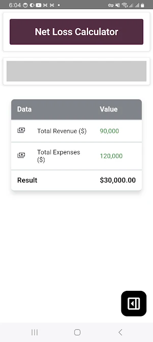 Net Loss Calculator Screenshot 3