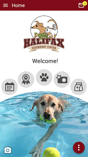 HalifaxVet Screenshot 0