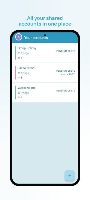 Debtster Screenshot 0