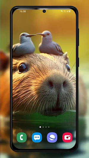 Capybara Wallpapers Background Screenshot 1