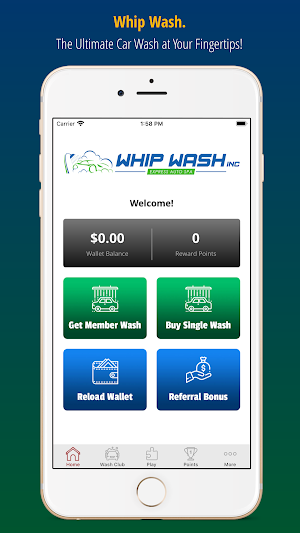 Whip Wash Screenshot 0