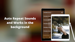Chickadee Sounds Screenshot 2