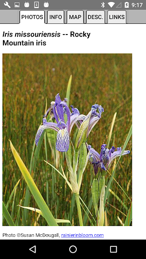 Alberta Wildflowers Screenshot 2