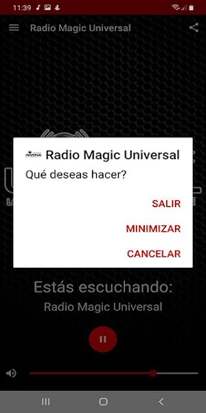 Radio Magic Universal Screenshot 3