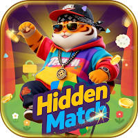 Hidden Match