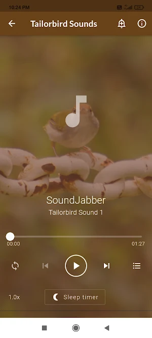 Tailorbird Sounds Screenshot 1