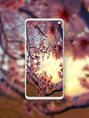 Sakura Wallpaper Screenshot 3