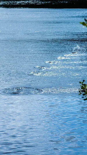 Stone Skipping Wallpaper Screenshot 2