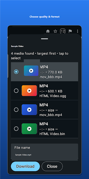 Video Downloader LBCX Screenshot 1