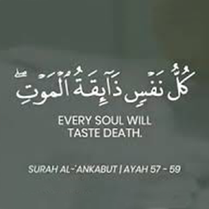 Abdulrhman Mosad Reciting Screenshot 3