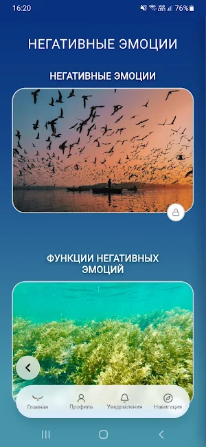MET Screenshot 3