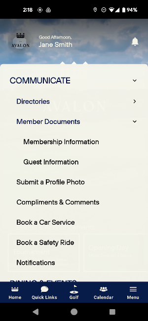 The Avalon Club Screenshot 1