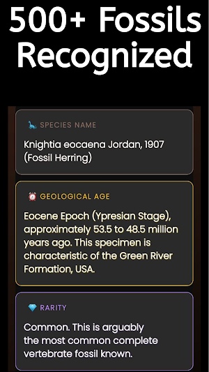 Fossil Id : Fossil Identifier Screenshot 2
