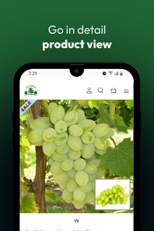 Ixora Farming Screenshot 1