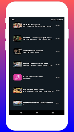 Digital Music Player Screenshot 1