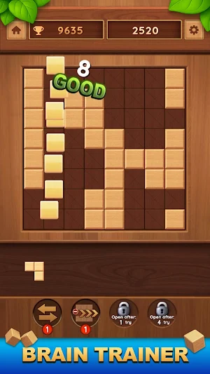 Block Puzzle: Brain Master Screenshot 2