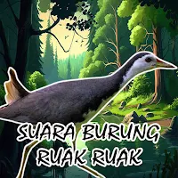 Suara Burung Ruak Ruak Offline