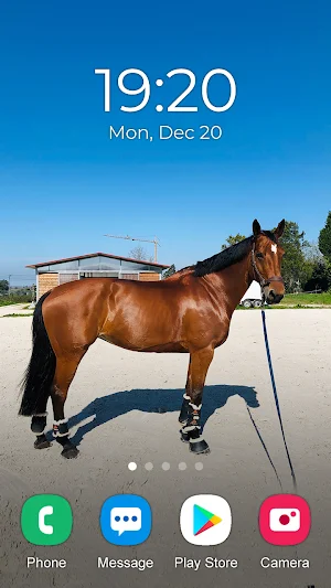 Horse Wallpaper 2023 Screenshot 1