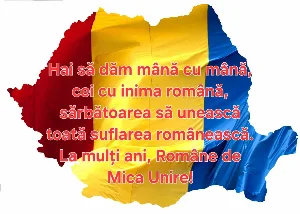 Unirii Principatelor Române Screenshot 3