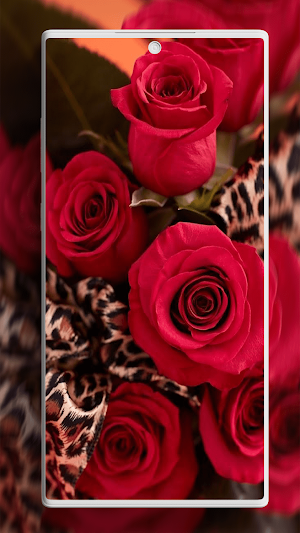 Rose Wallpaper Screenshot 1