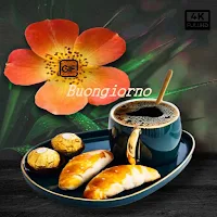 Buongiorno Buonanotte GIF 2023