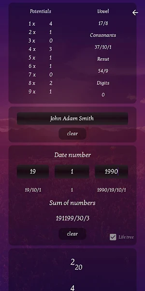 Our Numerology : Your numerology chart & forecast Screenshot 3