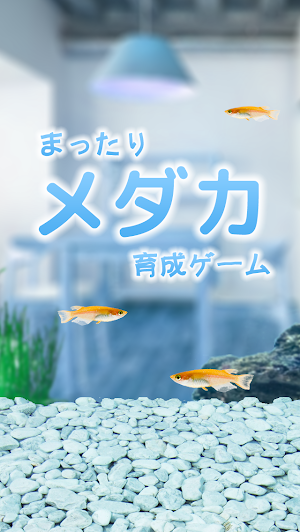 まったりメダカ育成ゲーム Screenshot 0
