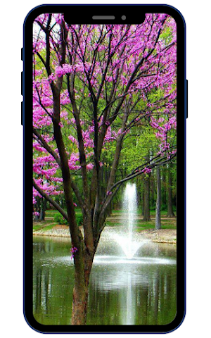Beautiful Spring Wallpapers Screenshot 2