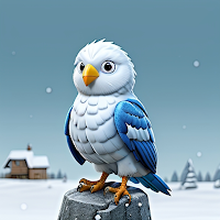 Animal Guesses