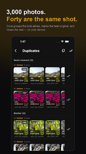 Cove: Share Work Folders Screenshot 0