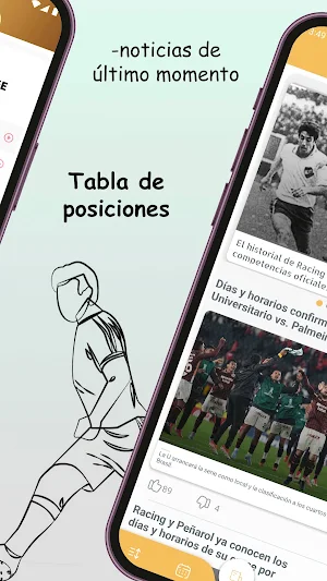 Fútbol Pro Libertadores Screenshot 3