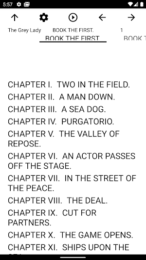Book, The Grey Lady Screenshot 1