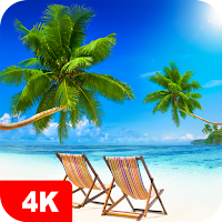 Tropical Wallpapers 4K