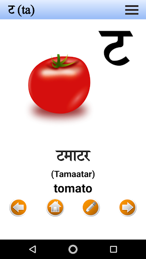 Hindi Language Basic Screenshot 1