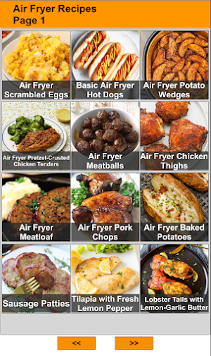 120 Air Fryer Recipes Screenshot 0