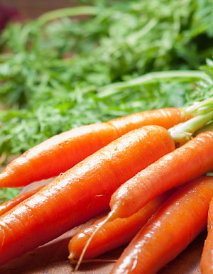 Carrot Food Screenshot 1