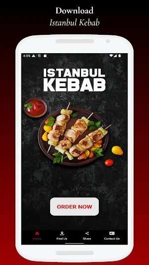 Istanbul Kebab Screenshot 0