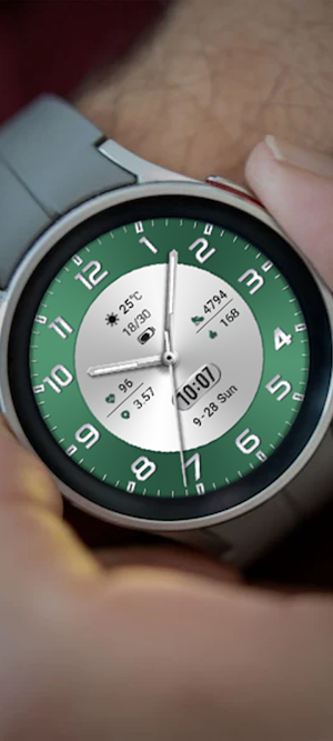 Business dualcolor for Wear OS Screenshot 2