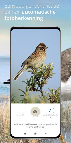 Vogels van Nederland en België Screenshot 2