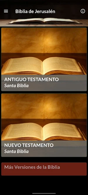 Jerusalén Santa Biblia Screenshot 0