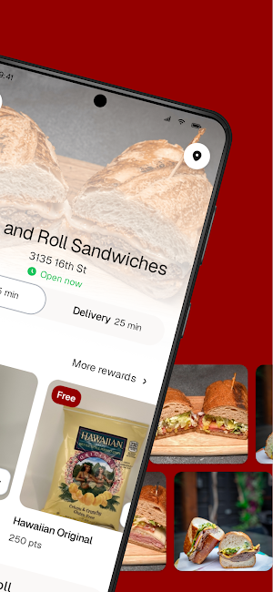 Wrap and Roll Sandwiches Screenshot 1