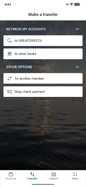 Great Erie FCU Screenshot 2
