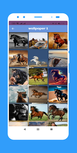 Horse wallpaper Screenshot 2