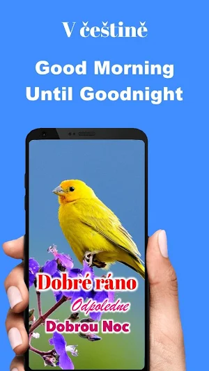 Czech Good Morning Afternoon & Good Night Wishes Screenshot 0