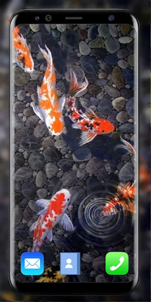 Koi Fish Live Wallpaper 3D Screenshot 0