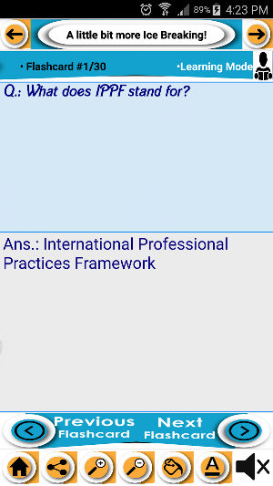 Certification in Internal Audit Review Notes & Q&A Screenshot 0