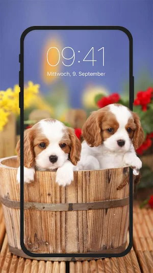 Cute Puppy Live Wallpapers HD Screenshot 1