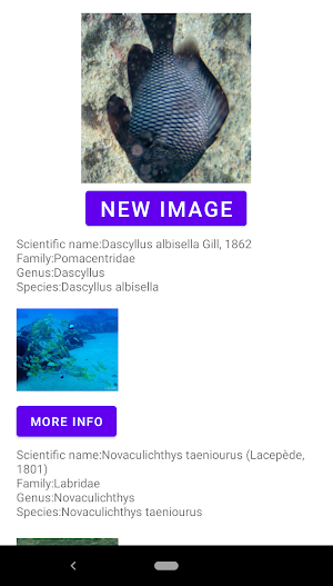 Fish identifier Screenshot 1