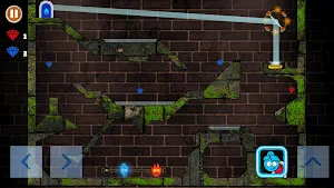 Red Boy And Blue Girl 2 screenshot 7