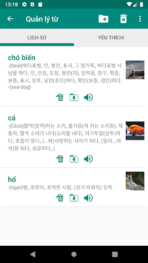 Vietnamese Korean Dictionary Screenshot 3
